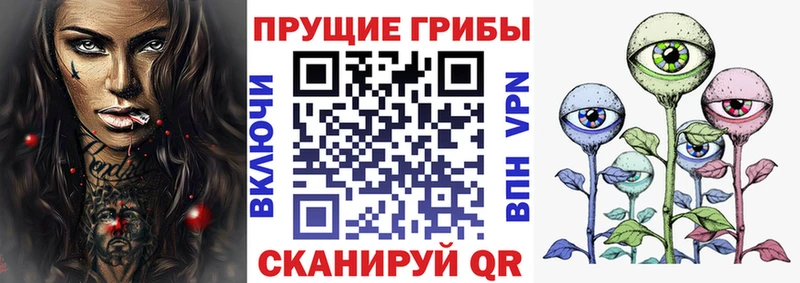 магазин  наркотиков  Норильск  Галлюциногенные грибы прущие грибы 